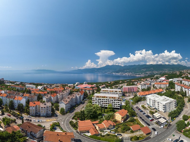Srdoči