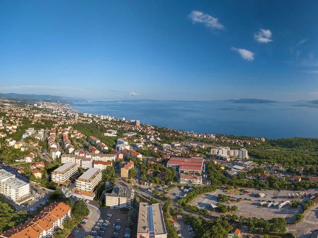 Srdoči