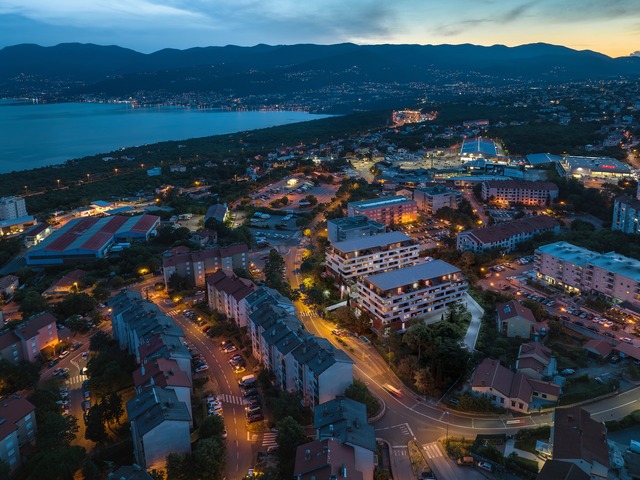 Srdoči