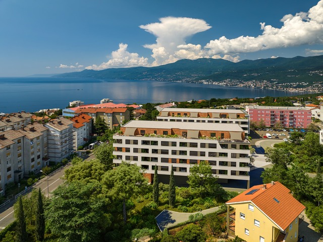 Srdoči slika