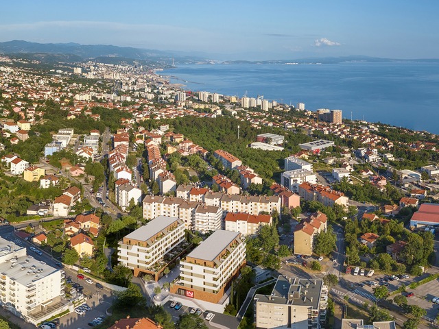Srdoči