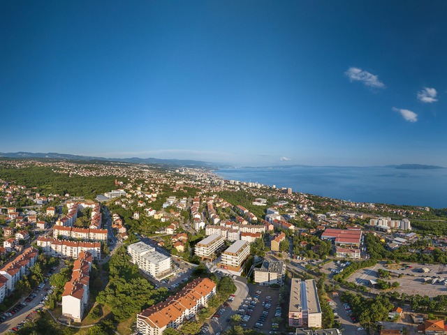 Srdoči
